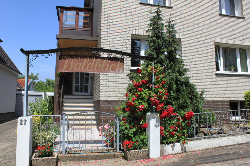 Ferienquartier Waldblick Lügde Exterior foto