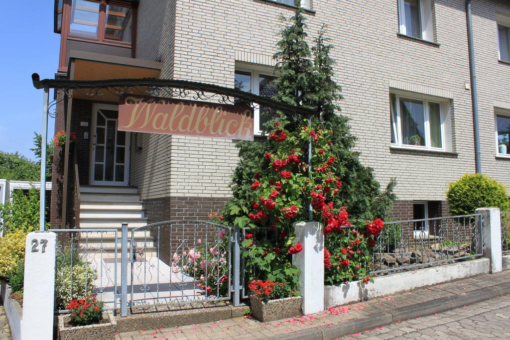 Ferienquartier Waldblick Lügde Exterior foto